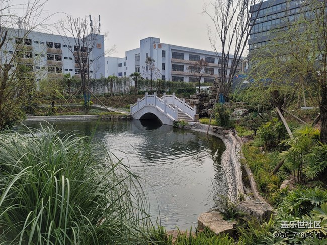 春日风景，街景随拍，纯属分享