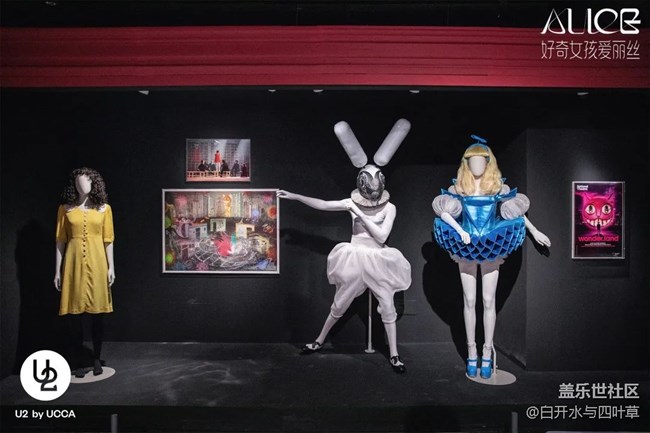 4月北京星部落线下活动——好奇女孩爱丽丝展