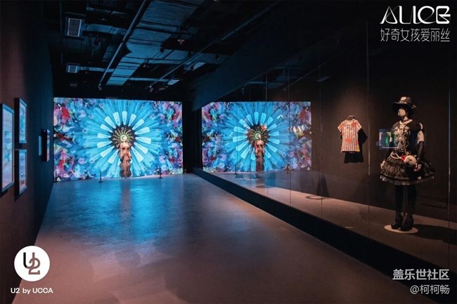 好奇女孩爱丽丝——跨世纪流行文化大展 活动招募