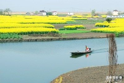 [春光好]水乡春色