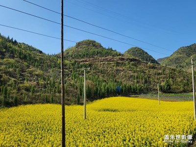 三星拍照