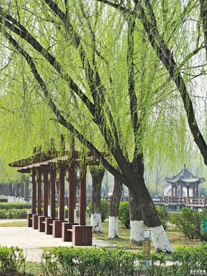 A53 5g踏青随拍