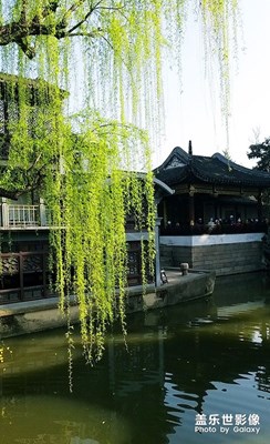 园林小景（5）