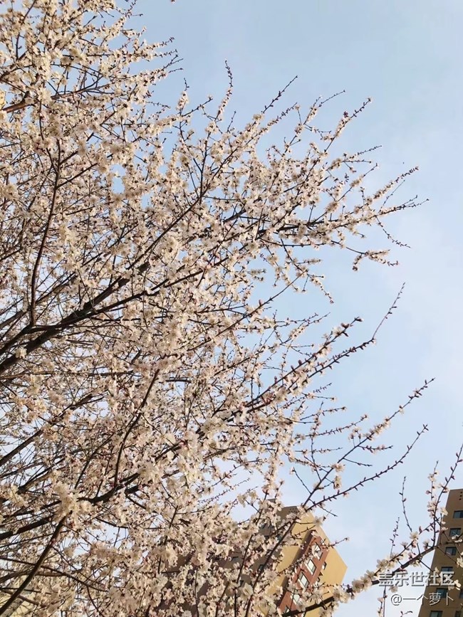【春分时节】+ 错过了桃花时节