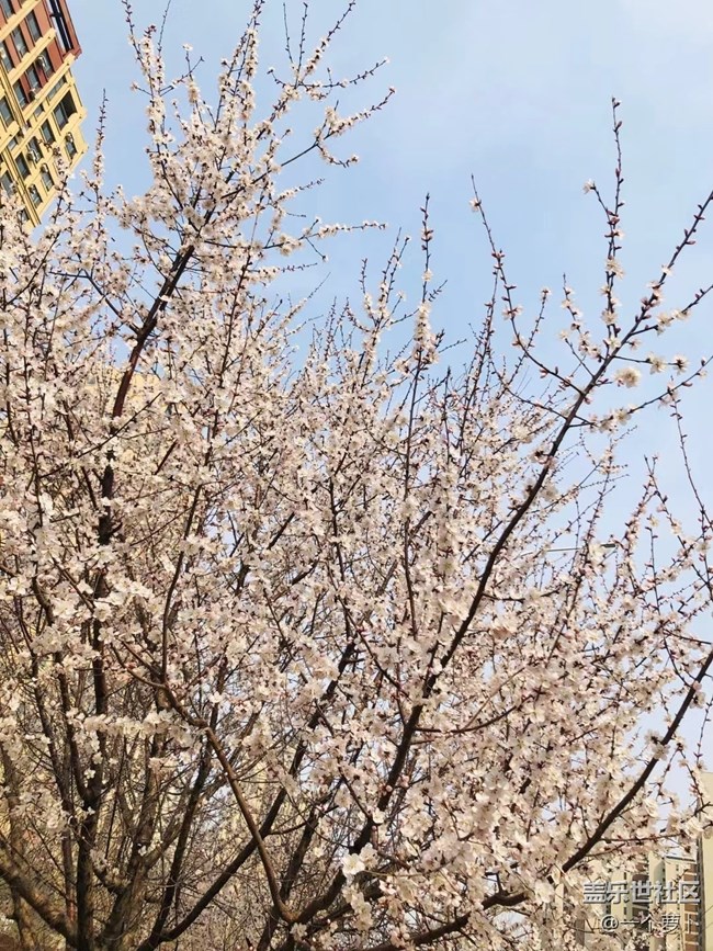 【春分时节】+ 错过了桃花时节