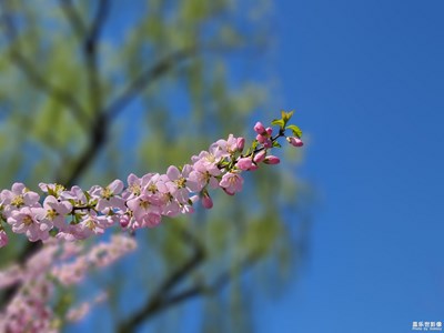 香艳