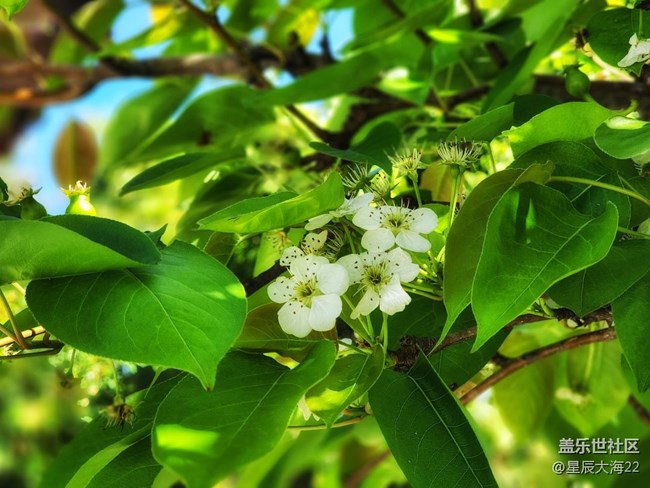 #春天来了——绿意盎然