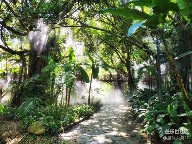 #春天来了——绿意盎然