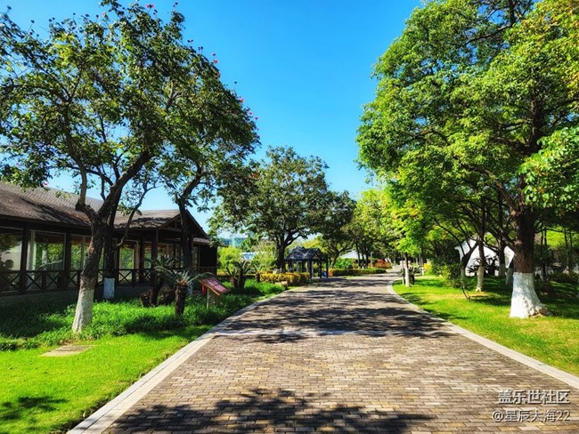 #春天来了——绿意盎然