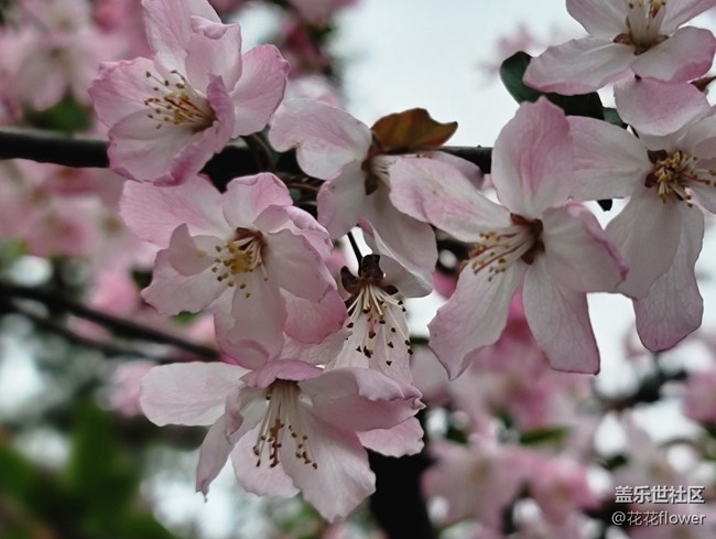 #春天来了——会好的