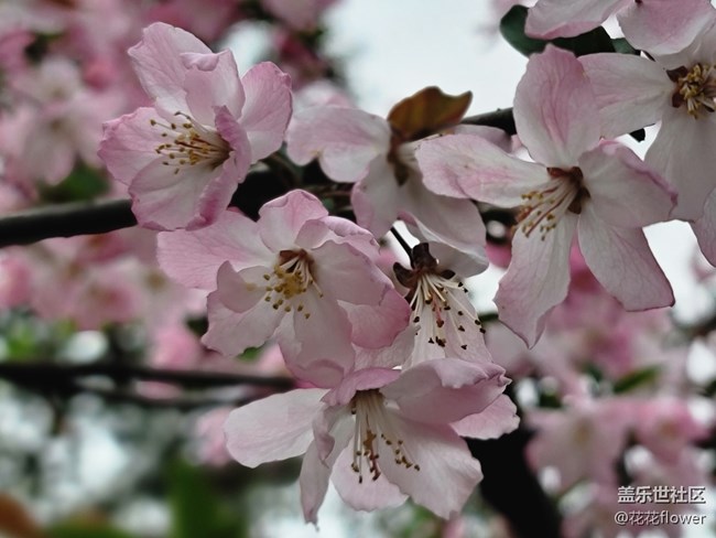 #春天来了——会好的