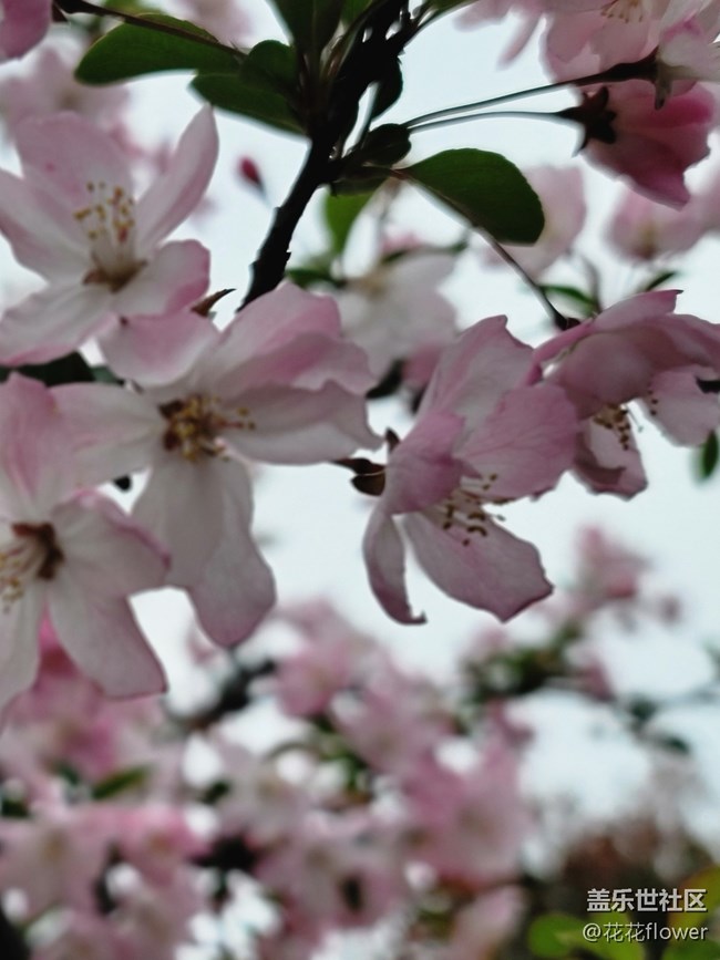 #春天来了——会好的