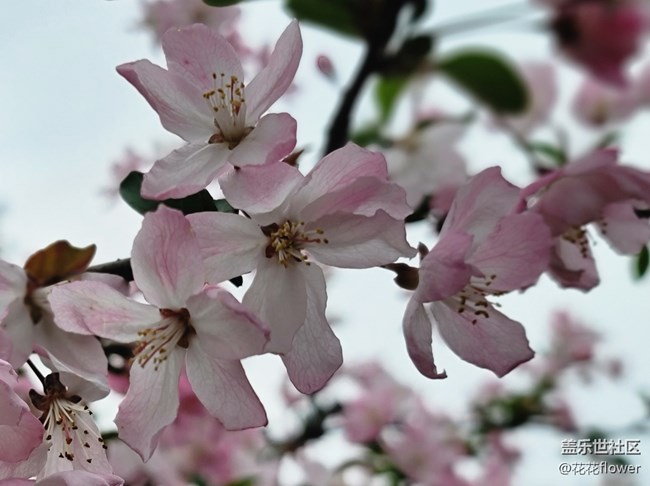 #春天来了——会好的