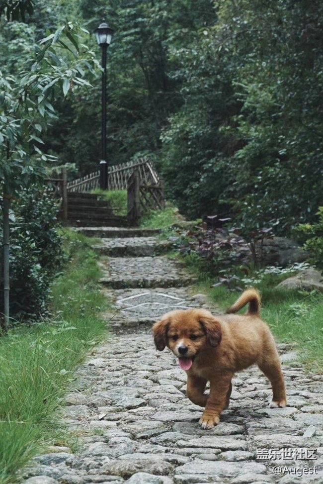 【武汉的春】青龙山郊游