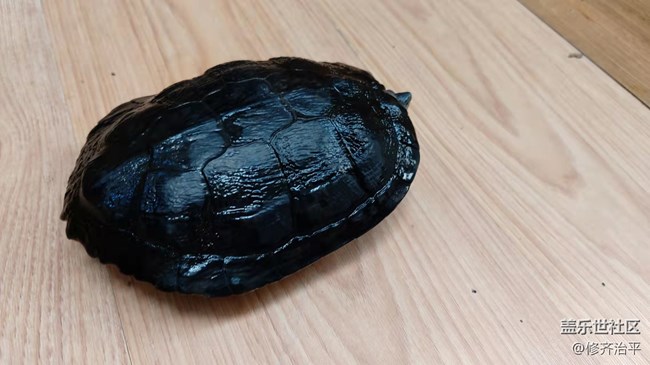 【可爱的它】以静制动益寿延年的巴西龟