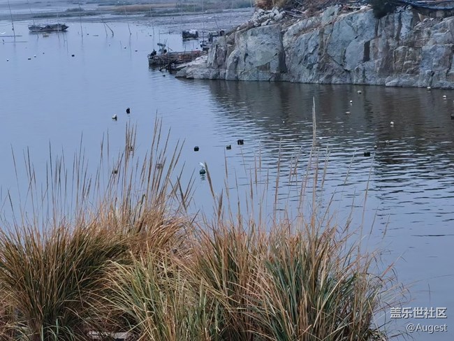 【武汉的春】青龙山郊游