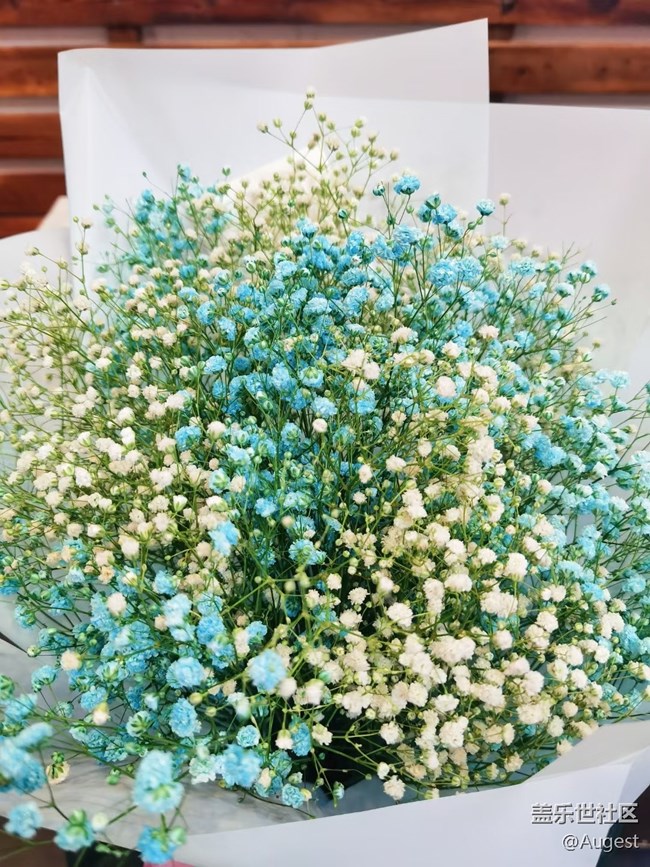 【武汉的春】青龙山郊游