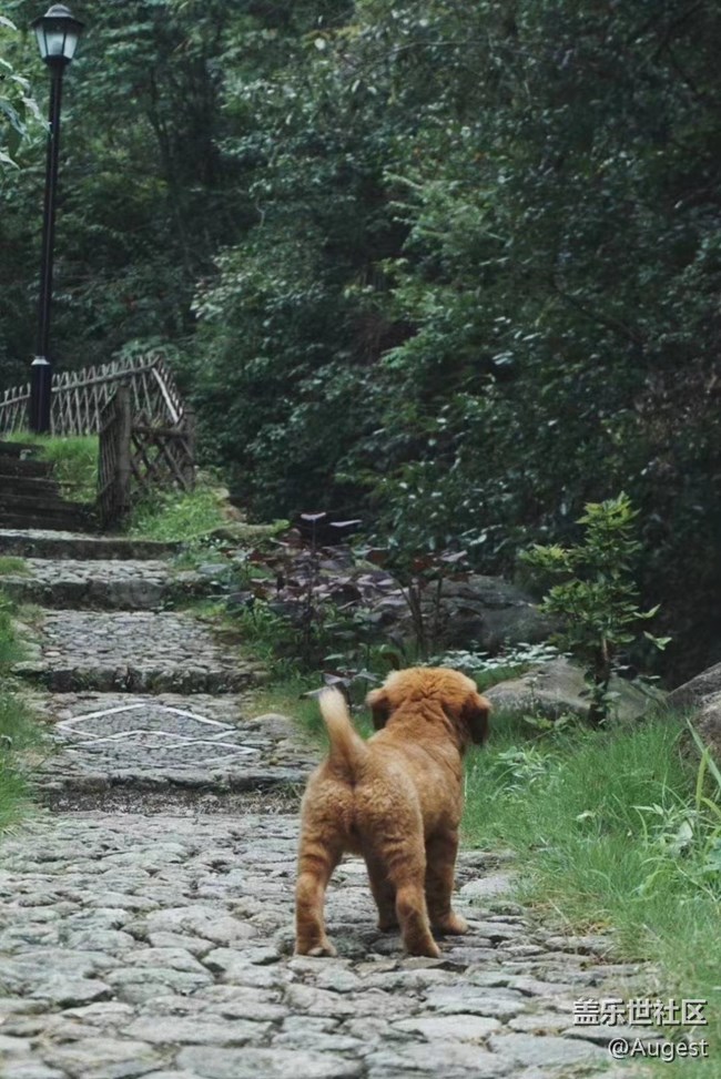 【武汉的春】青龙山郊游