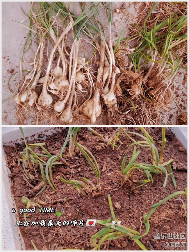 【春分时节】一些春天的味道
