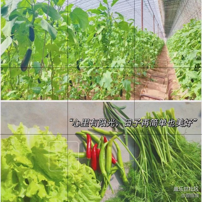 【春分时节】一些春天的味道