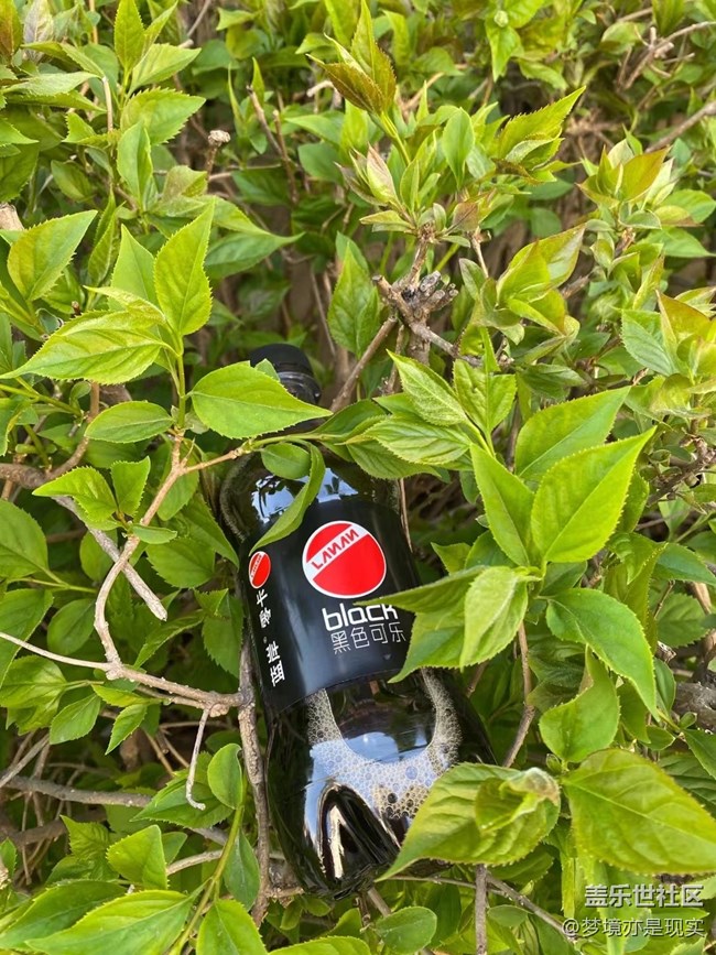春分时节+春天需要补充水分