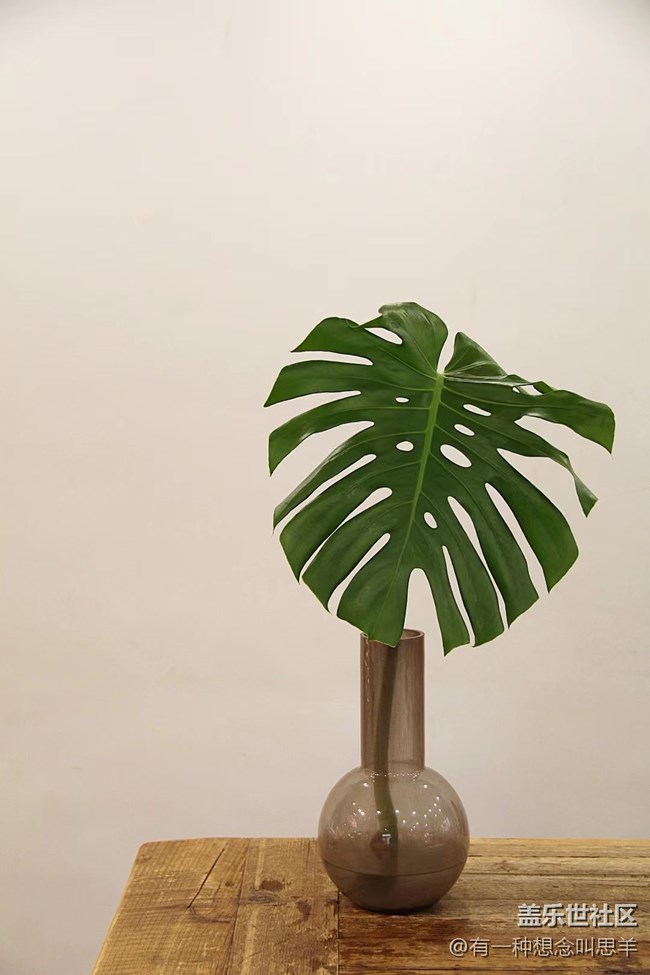 春分时节+瓶子里的花和叶