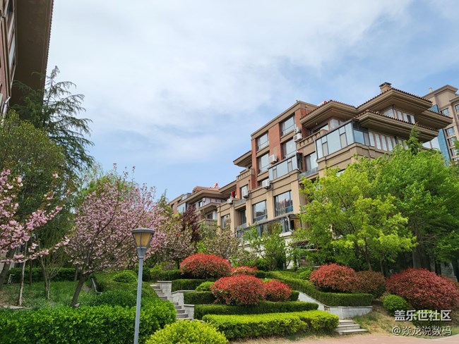 日常记录生活，你们喜欢用相机or手机？