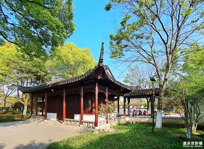 【四月物语】+春光正漾