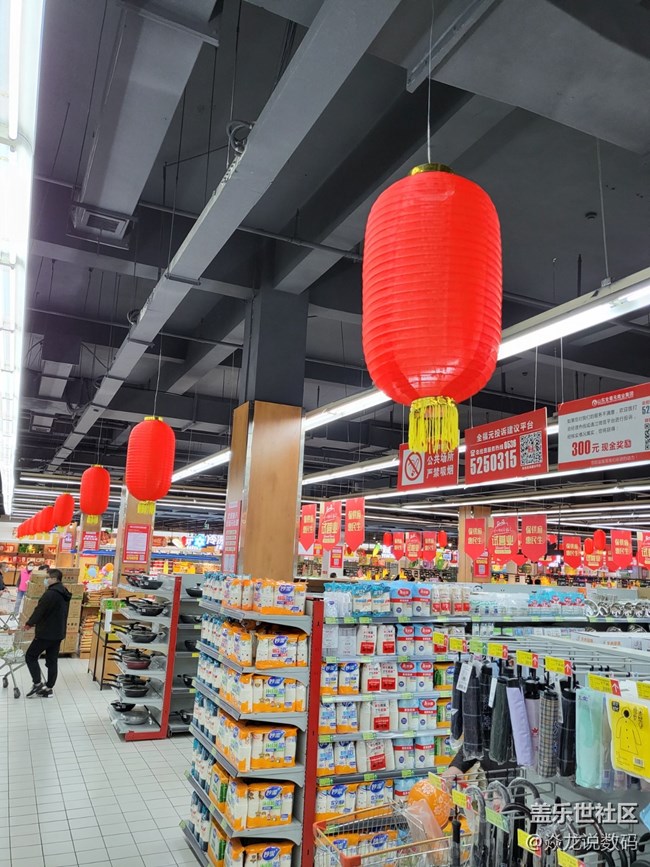 日常记录生活，你们喜欢用相机or手机？