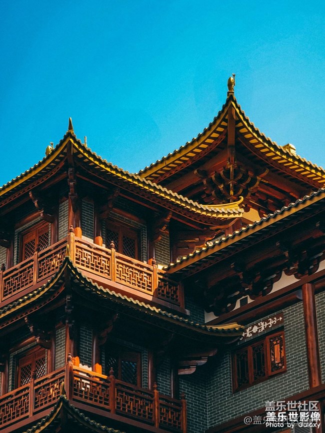 《每周星鲜事》 第102期:随手拍好春光 抽取春日好礼