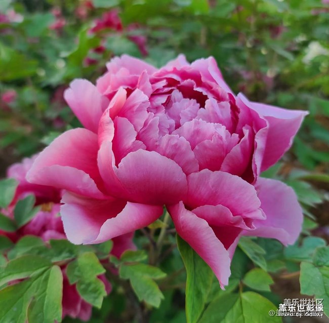 《每周星鲜事》 第102期:随手拍好春光 抽取春日好礼