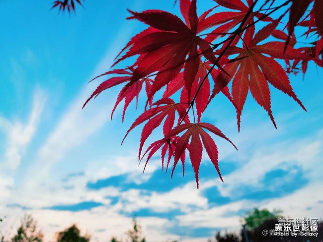 《每周星鲜事》 第102期:随手拍好春光 抽取春日好礼