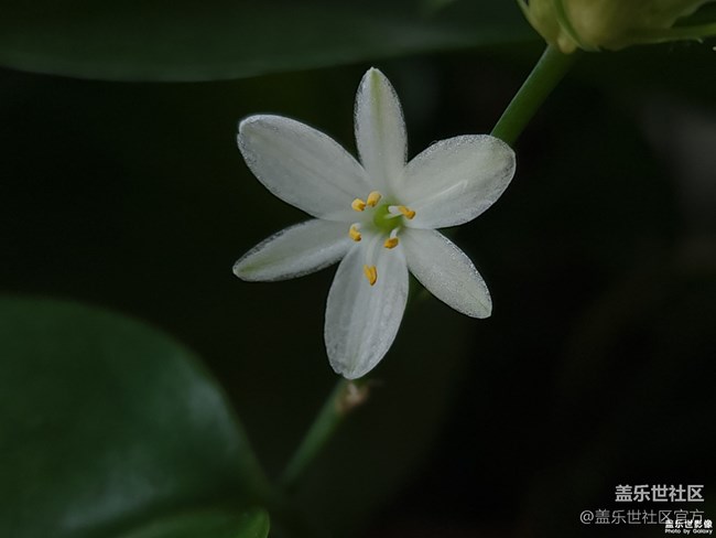 《每周星鲜事》 第102期:随手拍好春光 抽取春日好礼