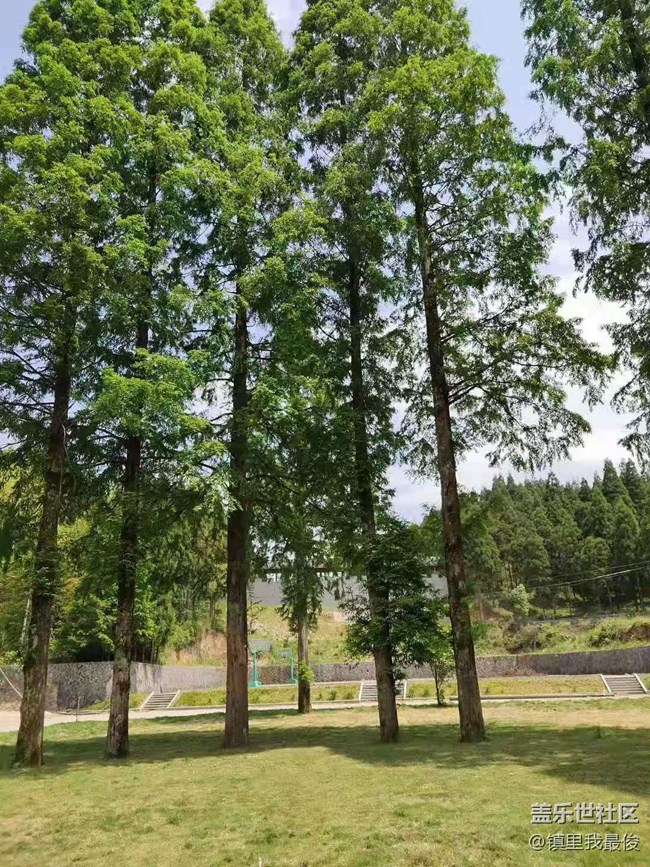 【五一春游日记】 游游农村