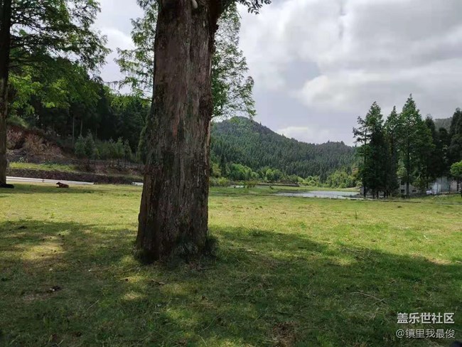 【五一春游日记】 游游农村