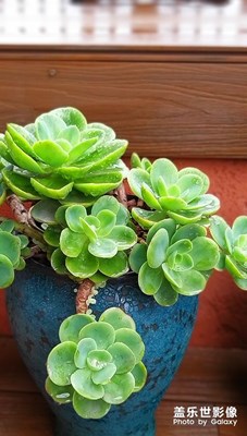 乡下小镇随拍