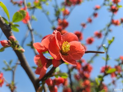 【时光正好】+红颜