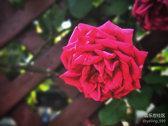 【你好夏天】+走出小区