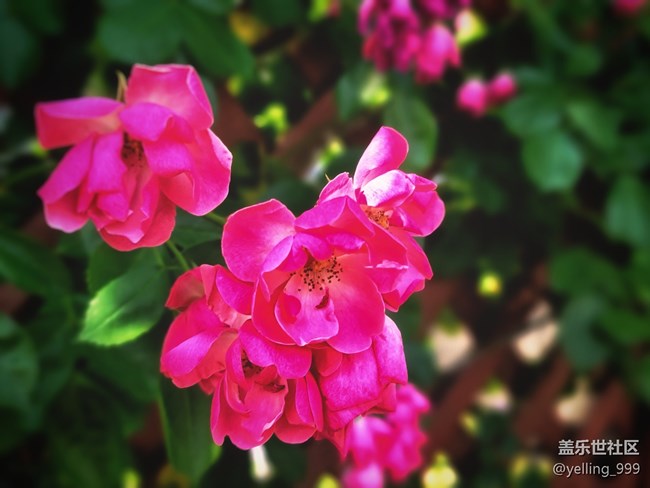 【你好夏天】+走出小区