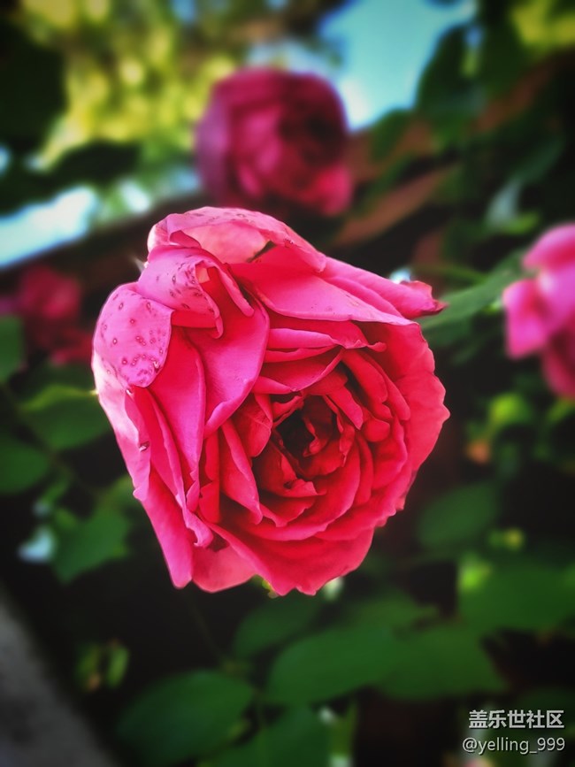 【你好夏天】+走出小区