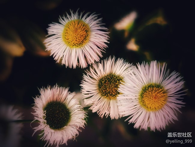 【你好夏天】+走出小区