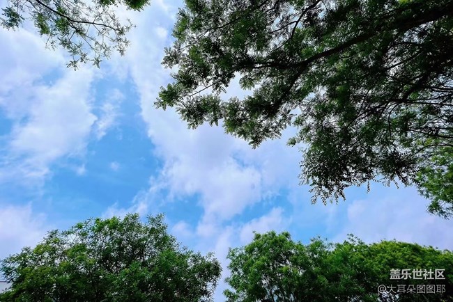 【你好夏天】夏日温柔