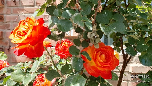 【你好夏天】天上人间