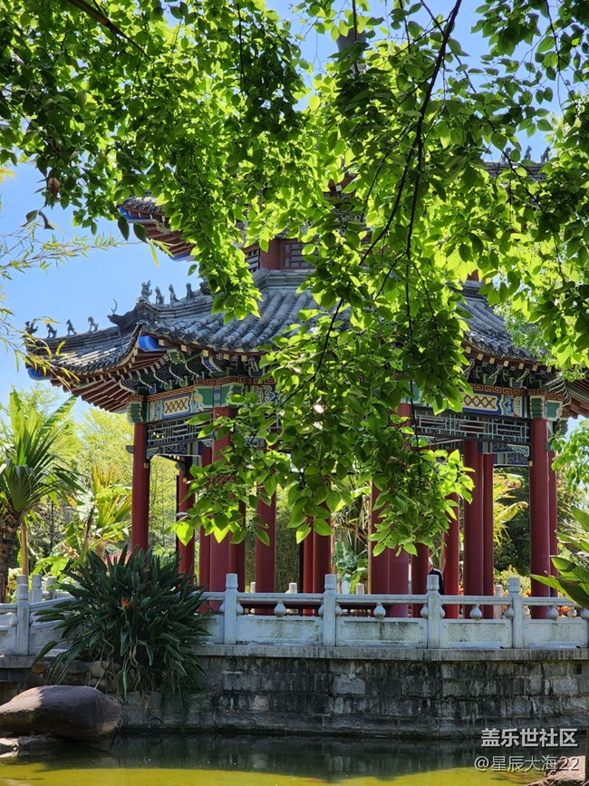 五月，你好——绿叶繁花