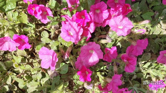 【你好夏天】天上人间