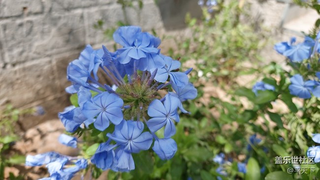 【你好夏天】天上人间