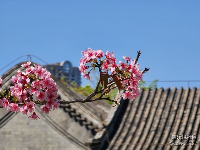 五月，你好——绿叶繁花