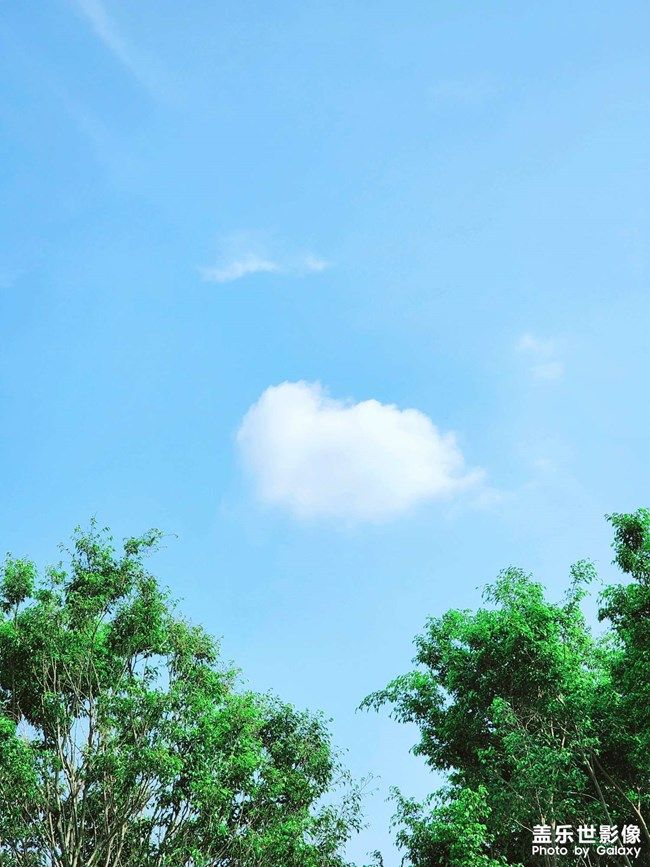 《每周星鲜事》 第104期：