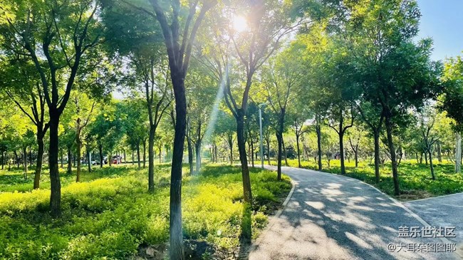 #五月，你好——万物美好