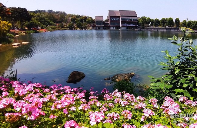 [温暖前行]青秀景色